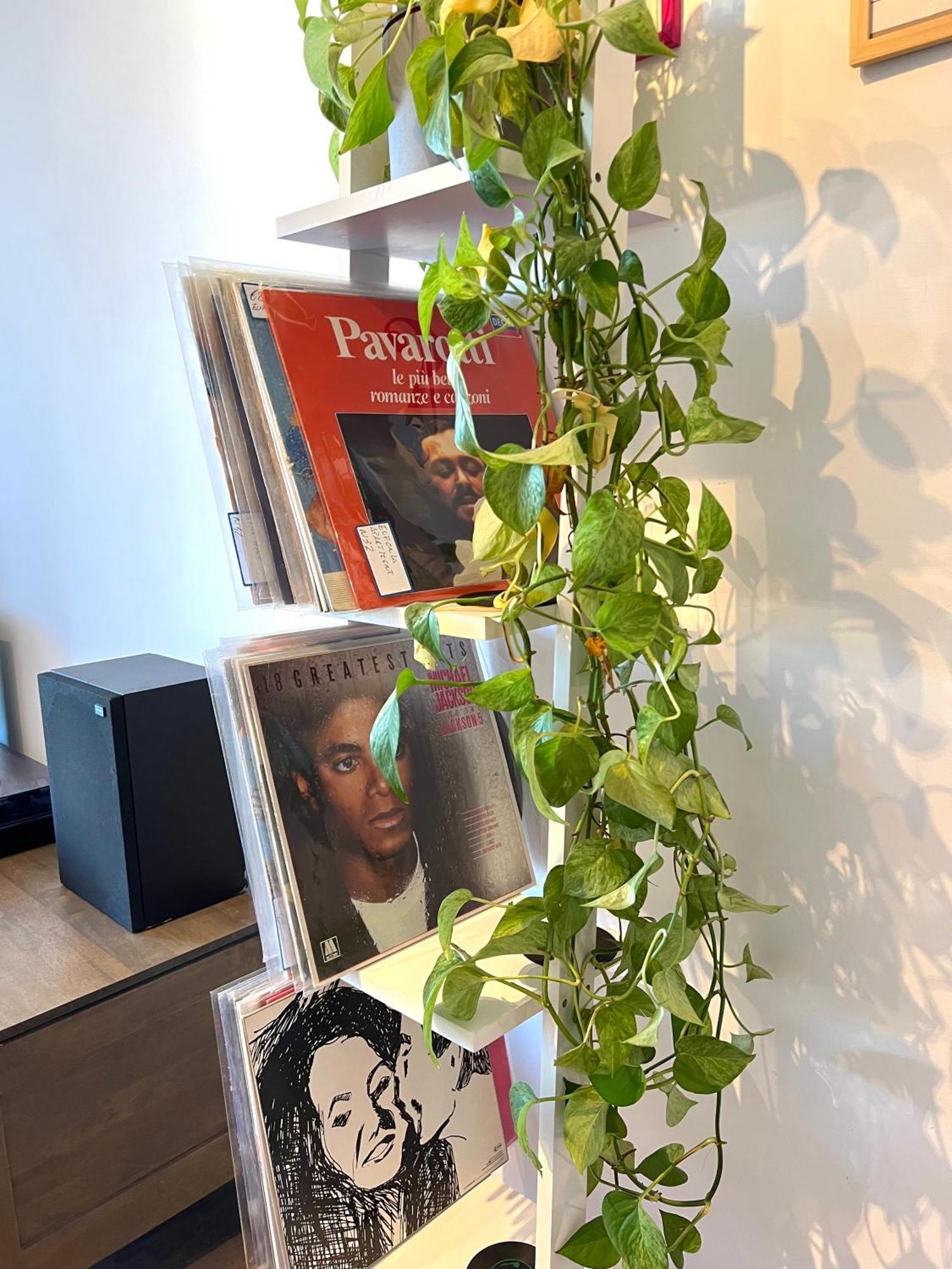 Eufonia Vinyl Friendly Apartment Rome Buitenkant foto
